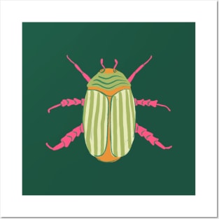 Striped Beetle Posters and Art